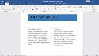 COLUMN BREAK