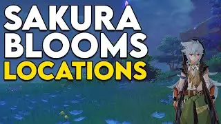 Where to find, and how to harvest, Sakura Blooms in Genshin Impact