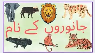 animals name in urdu || animals name|| wild animals name in urdu||@kidstv9633