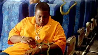 Someone Released Snakes On The Plane, Then THIS Happened...