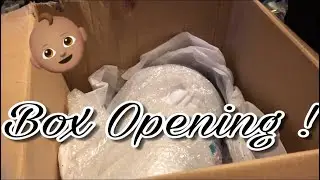 Reborn Toddler Box Opening !