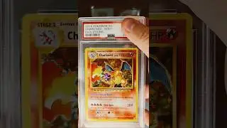 $1300 Poke Card! 🤯🤯 2016 Charizard XY Evolutions #pokemon #tcg #tcgcommunity #pokemoncardcommunity