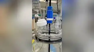 50L Glass Reactor &ndash; From Small-Scale Tests to Pilot Production