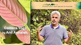 Try out a Anil Annaiah Workshop | Camera Yoga&trade; transforms everyday moments |