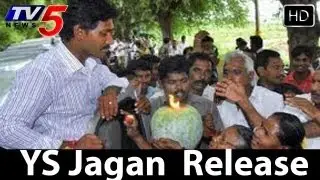 YSRCP Cadre Celebration Jagan Release -  TV5