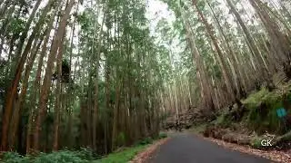#kookal #kodaikanal #roadtrip #travel #nature #vijaysongs 