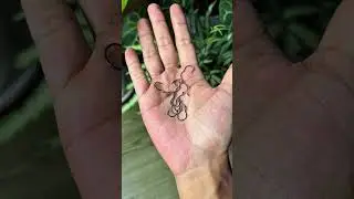 Kail otomatis / automatic flip hook Riptide Thorin yang bisa menancap otomatis di mulut ikan.