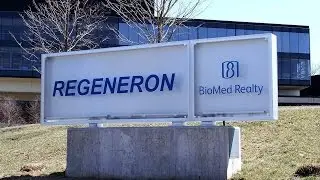 Regeneron Shares Slide as FDA Puts Drug Study on Hold
