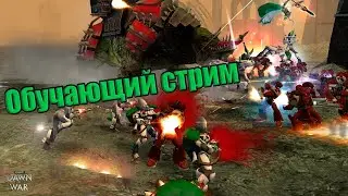 Обучающий стрим по Dawn of War