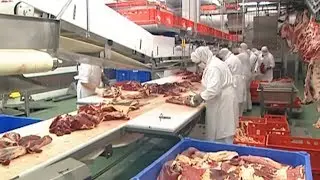 TIERWOHL: EuGH-Urteil - Halal-Fleisch darf kein Biosiegel tragen