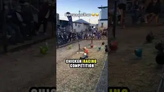 Chicken Racing Is a Real Sport Now