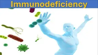Understanding Immunodeficiency: Causes, Types and Treatments | Immune System