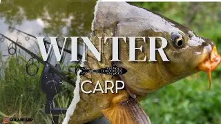WINTER CARPFISHING | 4K