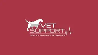 Vet Support UTI Veterin&aacute;ria 24h
