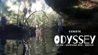 Cenote Odyssey - Mexico jan 2023