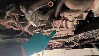 Lamborghini Gallardo LP550-2 Annual Oil Change Again