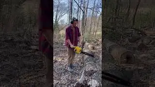 Pro Mac 10-10 custom exhaust #chainsaw #fy #shortvideo #short #youtubeshorts #fypage