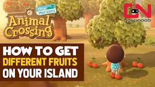 How to Get Different Fruits on your Island in Animal Crossing: New Horizons