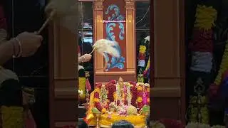 🌟✨திருக்கல்யாணம்✨🌟 #rajarajeswari#temple#mississauga#canada#blessed#thirukalyanam#happytimes