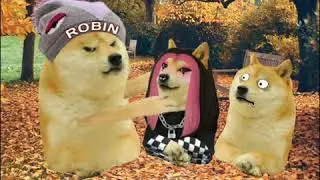 ROBIN SE PANGA || ShAYRI || ROBIN DOGE