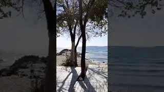 Sunny beach  Breakfast