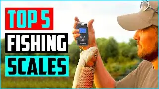 Top 5 Best Fishing Scales in 2022 Reviews