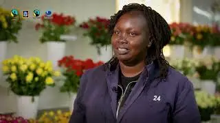 Kenya Roses Project- Sustainability Practices with Sian Agriflora