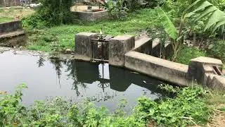 भुटानी शरणार्थी शिविरछेउ,पथरी शनिश्चरेको पुरानो बान (बाँध ) कस्तो भए छ त अहिले?