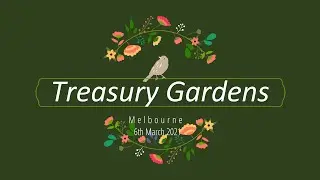 4K Treasury Gardens Melbourne Victoria Walk
