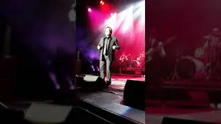 Jimmy Osmond / Tribute to David Cassidy