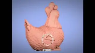 YGreater - Rooster ft.JM [no copyright music]