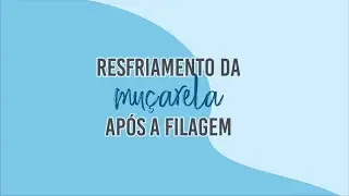 Resfriamento da muçarela após a filagem #1
