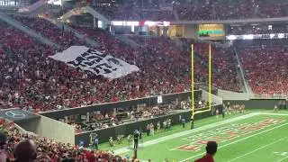 Atlanta Falcons #RiseUp