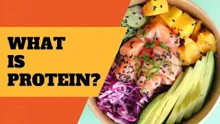 What is Protein?
