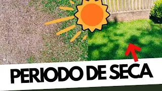 Como SALVAR seu gramado no período de SECA?