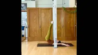 Archival Pilates Transition on the Guillotine