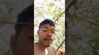 sokua akenga ripengrang