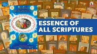 Essence of All Scriptures | SB 1.1.11