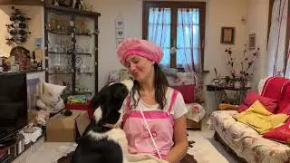 Miss carnevale di Pietrasanta 2026 - Scalpellina dietro le quinte