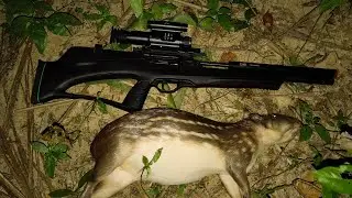 Primeiro abate de paca com nossa T-Rex bullpup, testando a visão noturna da NVH plus vision 
