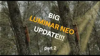 GREAT Luminar Neo Fall Update 2025 Review Part 2