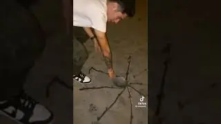 Ara&ntilde;a cumbre 170910 spaiderman 3000.