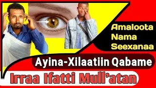 🩸⛔️Amaloota Nama Afuura Seexanaa Ayina-Xilaan Qabame Irraa Mull'atuu! Dhangaa Lubbuu Media