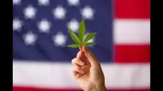 U.S. cannabis legalization doesn&rsquo;t look likely in the coming months: Analyst