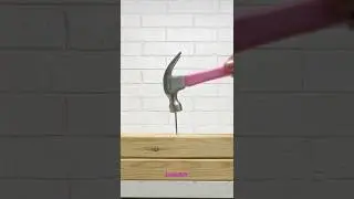 The Best Hammer Hack #shorts #viral