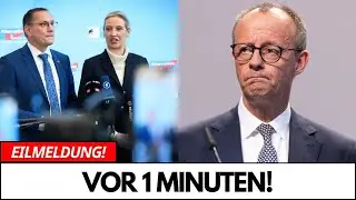 UMFRAGEHAMMER AfD bei 26 Prozent Weidel schl&auml;gt Merz Brandmauer kollabiert