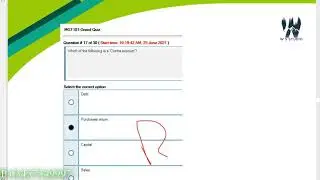 mgt101 current grand quiz solved 2021