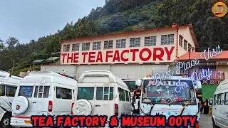Tea Factory & Museum Ooty - Must Visit place in Ooty | Ooty Series Part 6 #destinygo #ooty