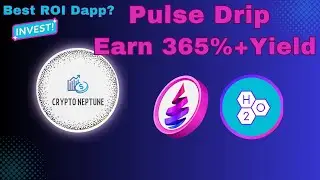 Pulse Drip Best ROI Dapp on PulseChain? Earn 365%+ Yield.