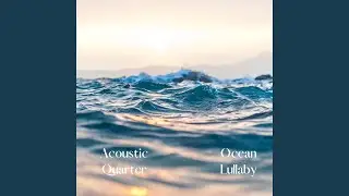 Five Minutes of Ocean & Wave Sounds
